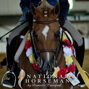 Meet your Posher, Ann